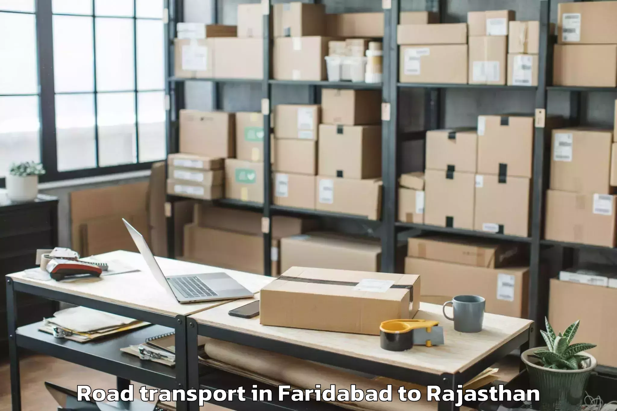 Professional Faridabad to Rajasthan University Of Health Road Transport